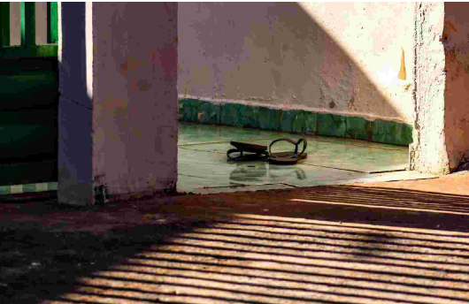 Imagem de compartilhamento para o artigo Idoso corta a perna enquanto cortava lenha para vizinha em Mato Grosso do Sul da MS Todo dia